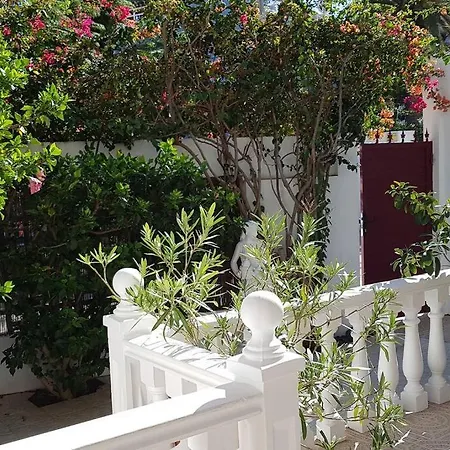 Luminoso Con Patio Y Jardin Apartamento *