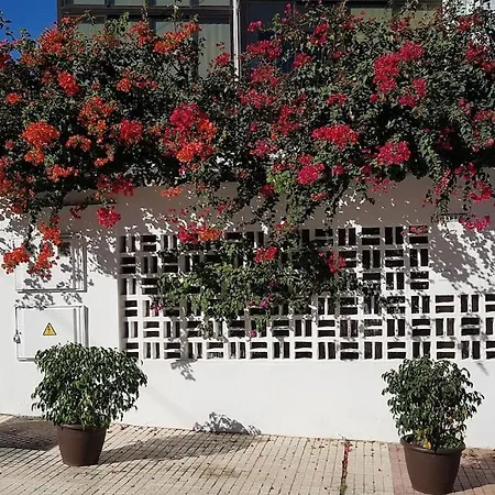 Apartamento Luminoso Con Patio Y Jardin *