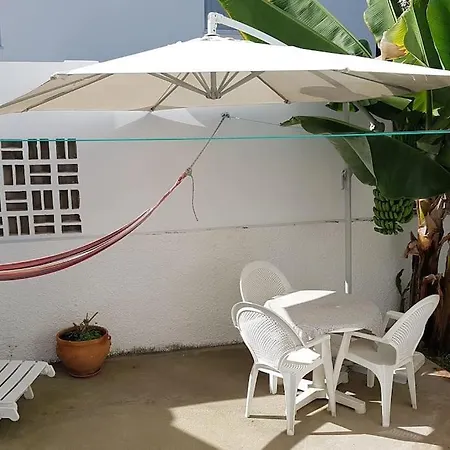 Luminoso Con Patio Y Jardin Apartamento *